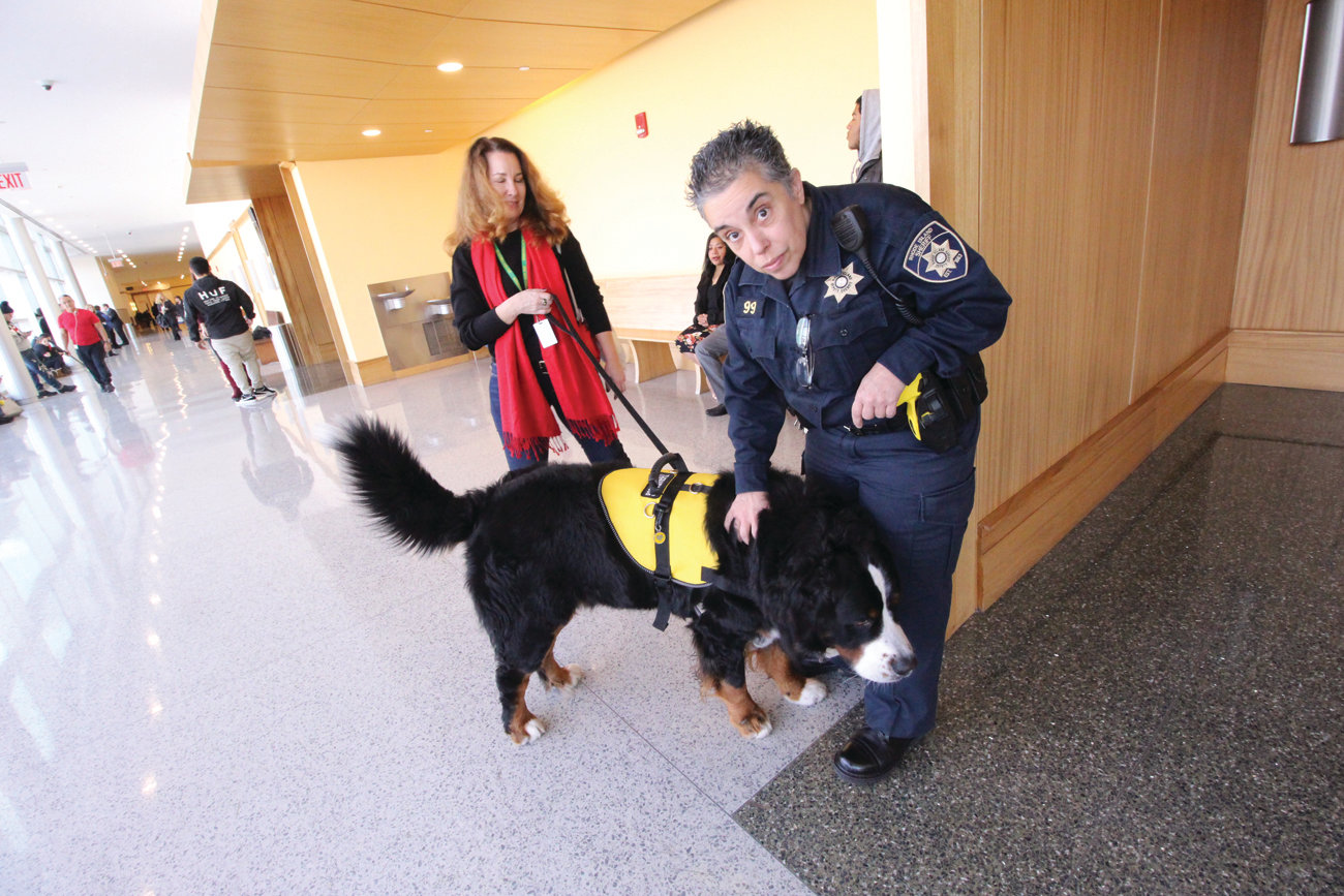 STRESS RELIEF: Lisa Weinberg, pictured with her Bernese Mountain Dog, Quincy, talks with Sheriff Betty Silvia in the corridor of Family Court at the Kent County Courthouse. Under a two-month trial program, the Windwalker Humane Coalition provides pet therapy teams to the courthouse.
